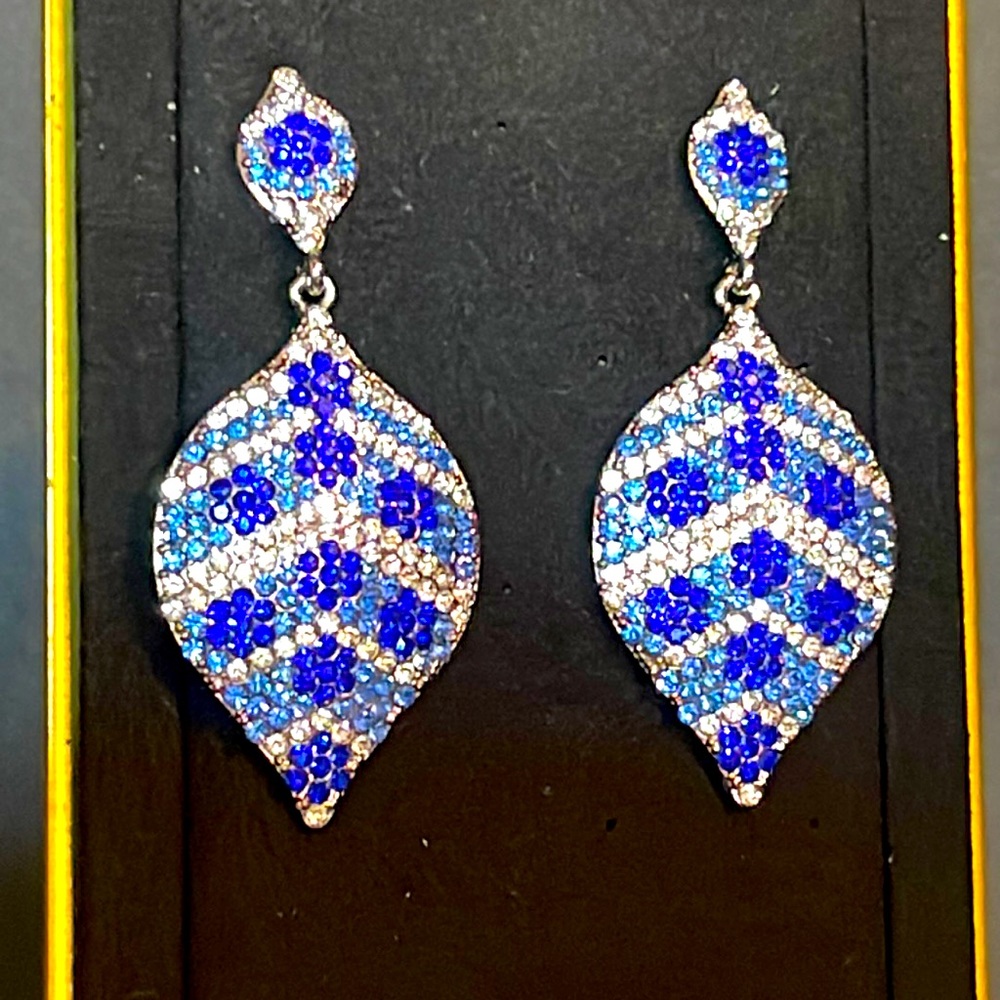 Blue Pageant Earrings Ombre Stripe Floral Design